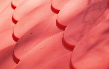 Davidsons Mains plastic roof costs