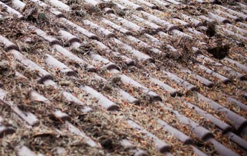 Davidsons Mains roof cleaning companies