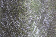 Davidsons Mains fibreglass roof work